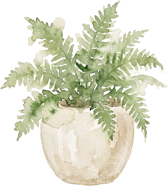 Fern